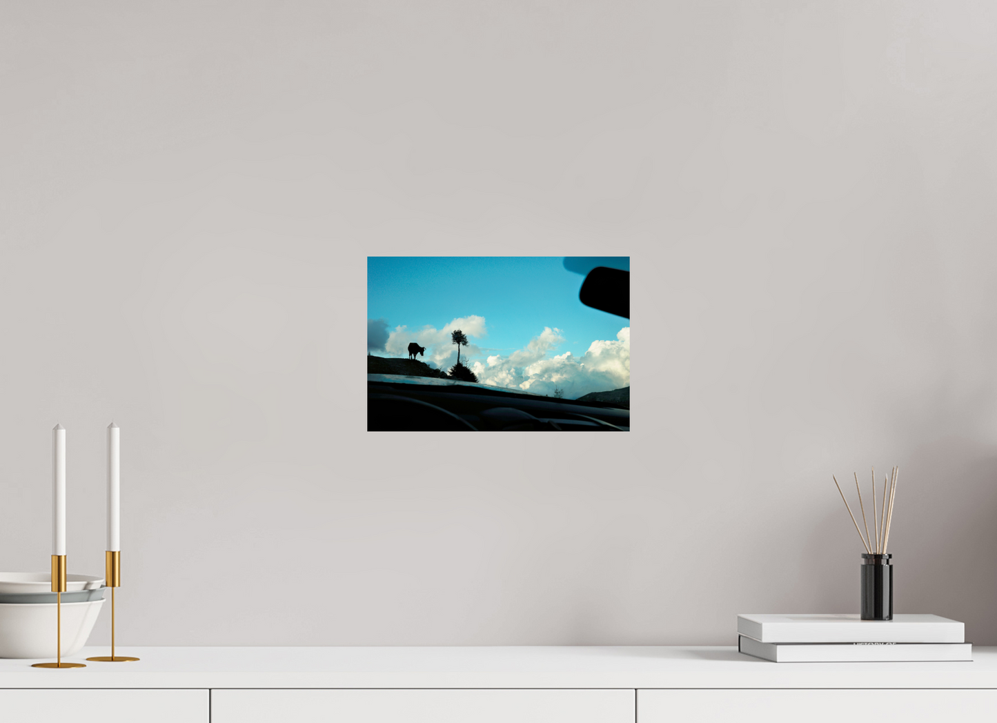 30 x 20 cm, Photo Print On Fuji Crystal DP II Cow in Georgia