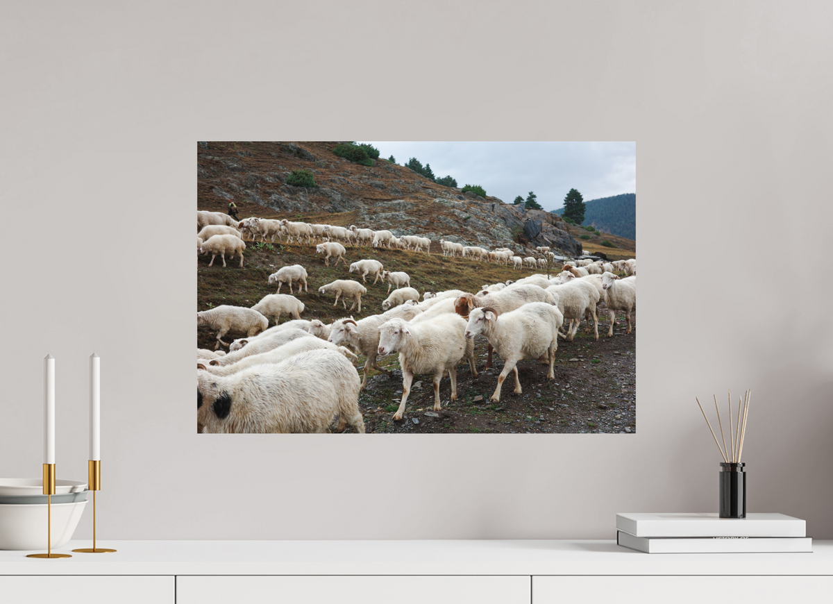 60 x 40 cm, Poster Matt .