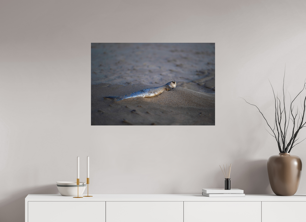 90 x 60 cm, Poster Matt .