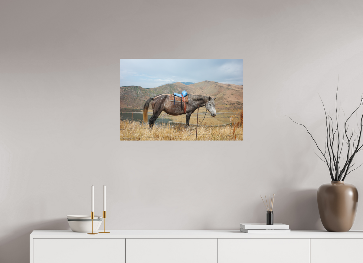 75 x 50 cm, Poster Matt .