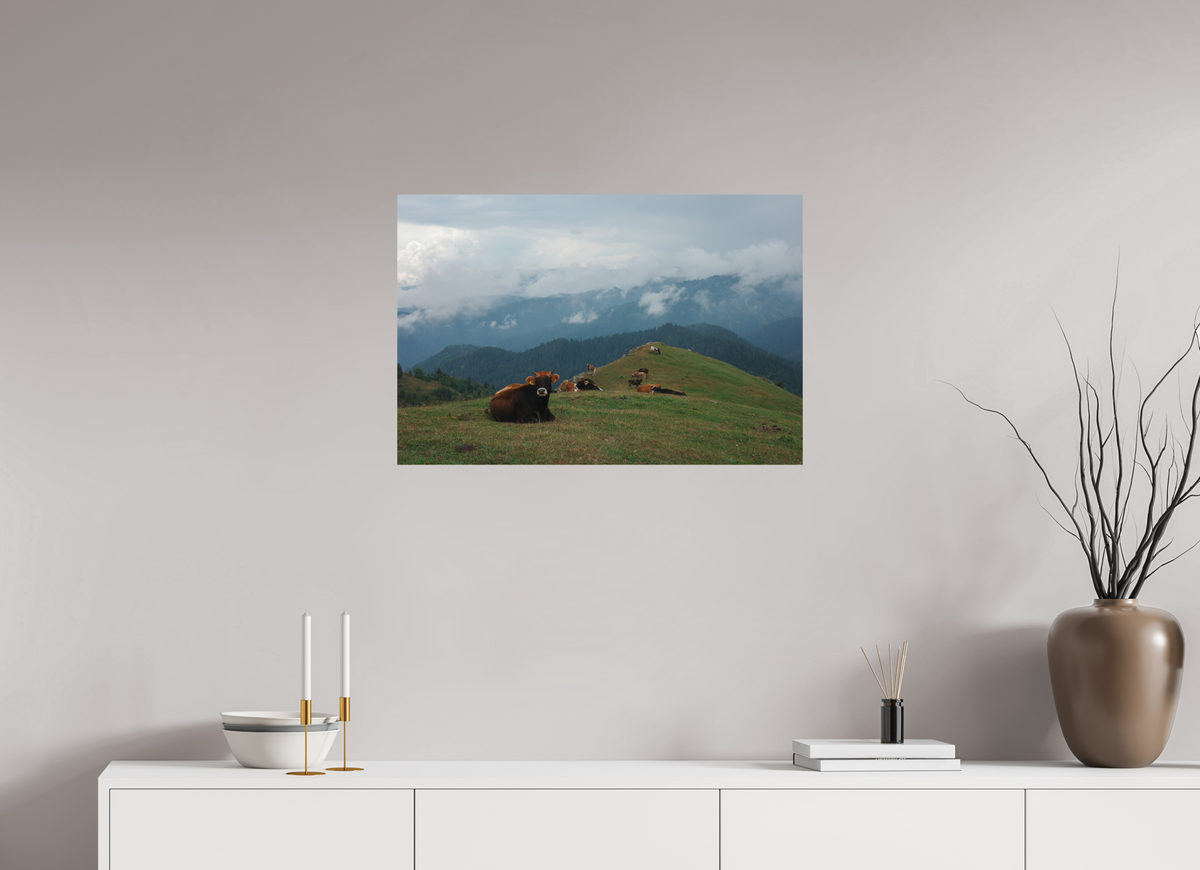 75 x 50 cm, Poster Matt .
