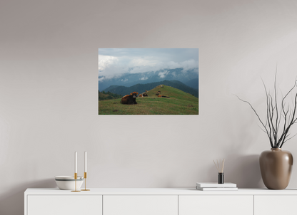 75 x 50 cm, Poster Matt .