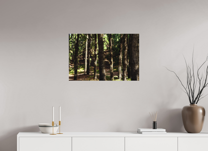 75 x 50 cm, Poster Matt .