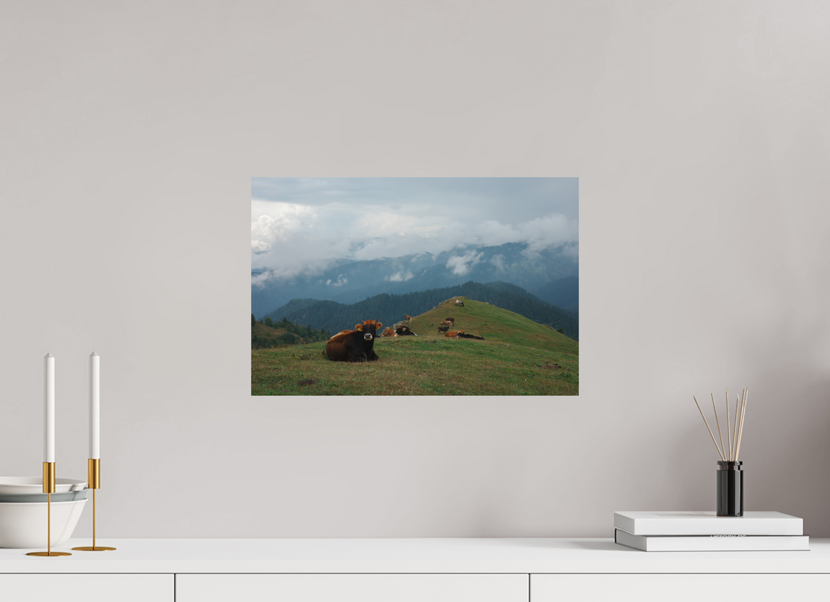 45 x 30 cm, Poster Matt .