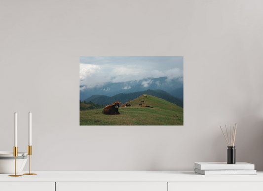 45 x 30 cm, Poster Matt .