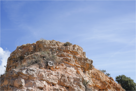 Main image .