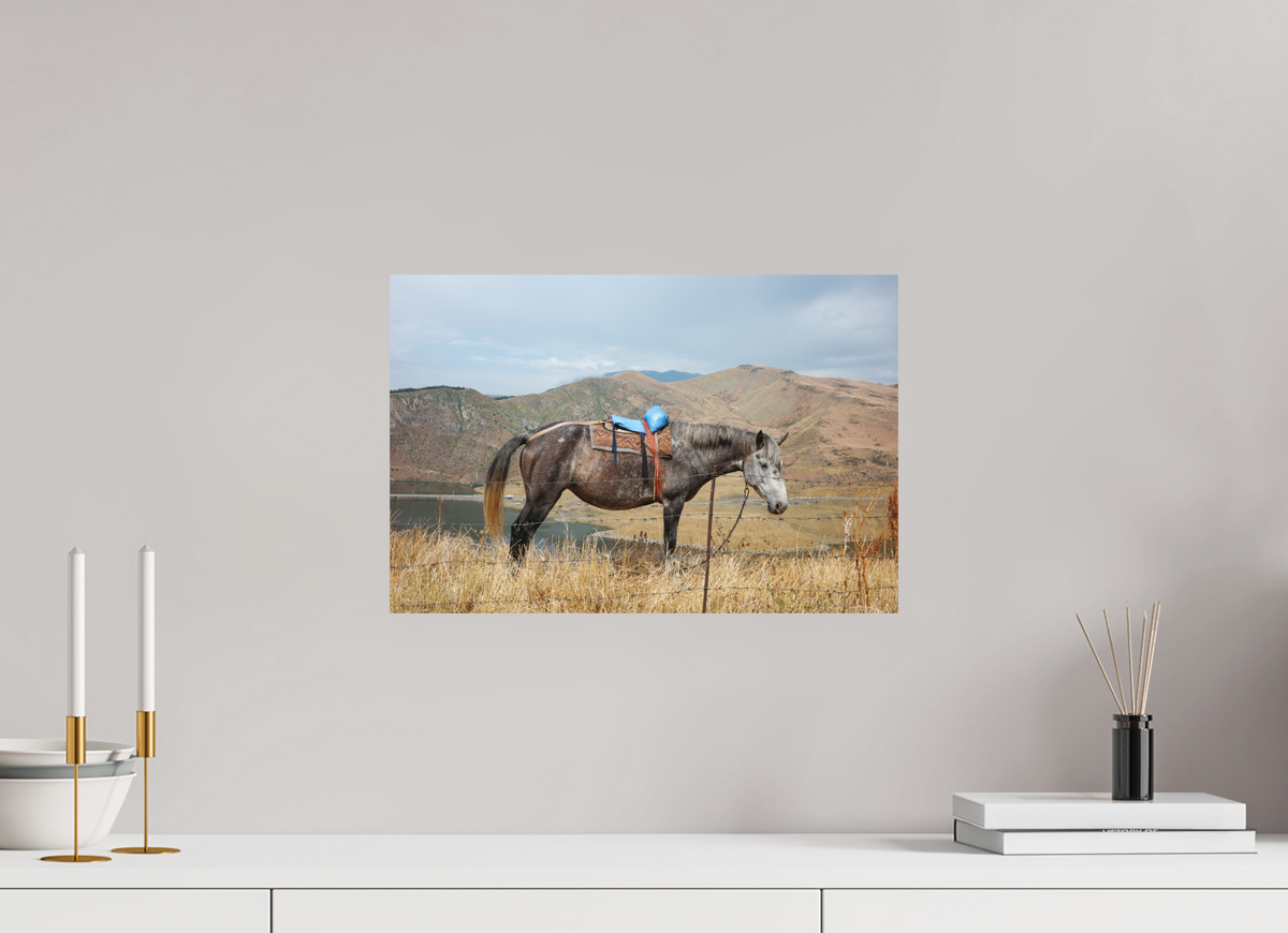 45 x 30 cm, Poster Matt .