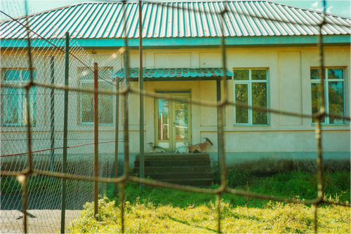 Main image Backland