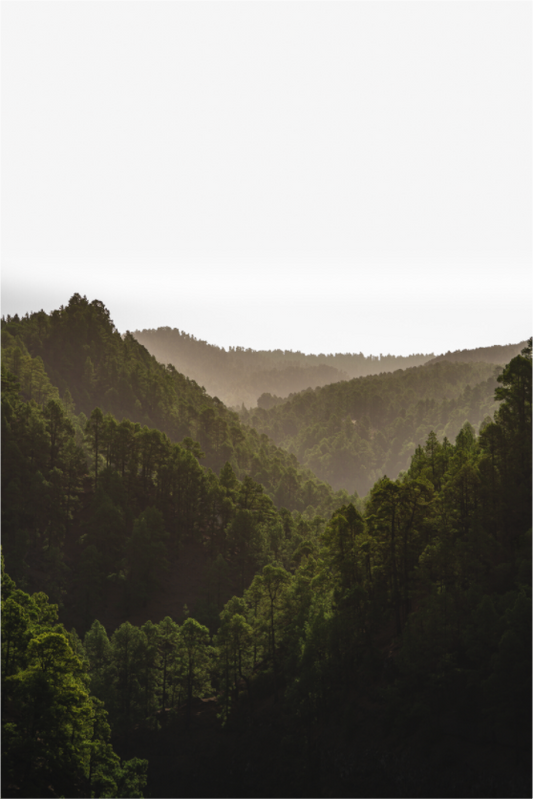 Main image .