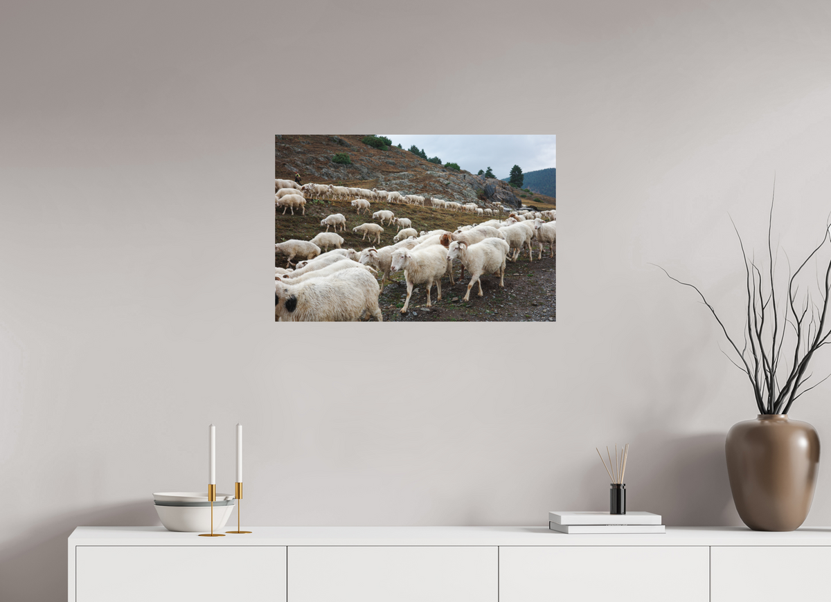 75 x 50 cm, Poster Matt .