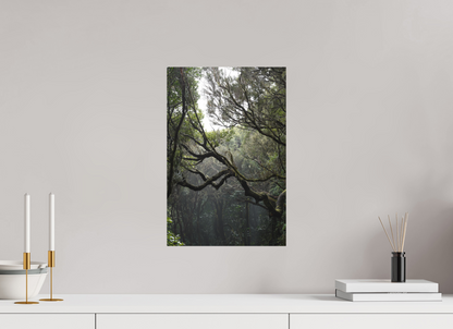 30 x 45 cm, Poster Matt .