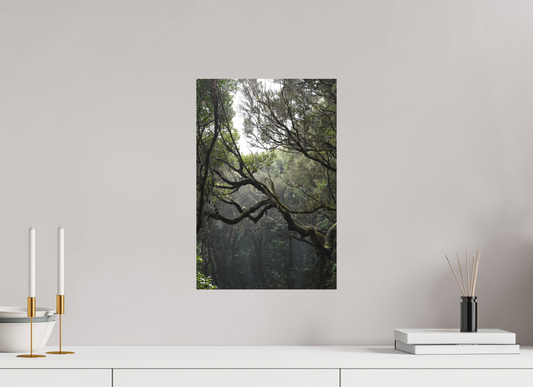 30 x 45 cm, Poster Matt .