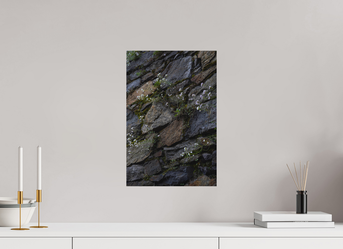 30 x 45 cm, Poster Matt .