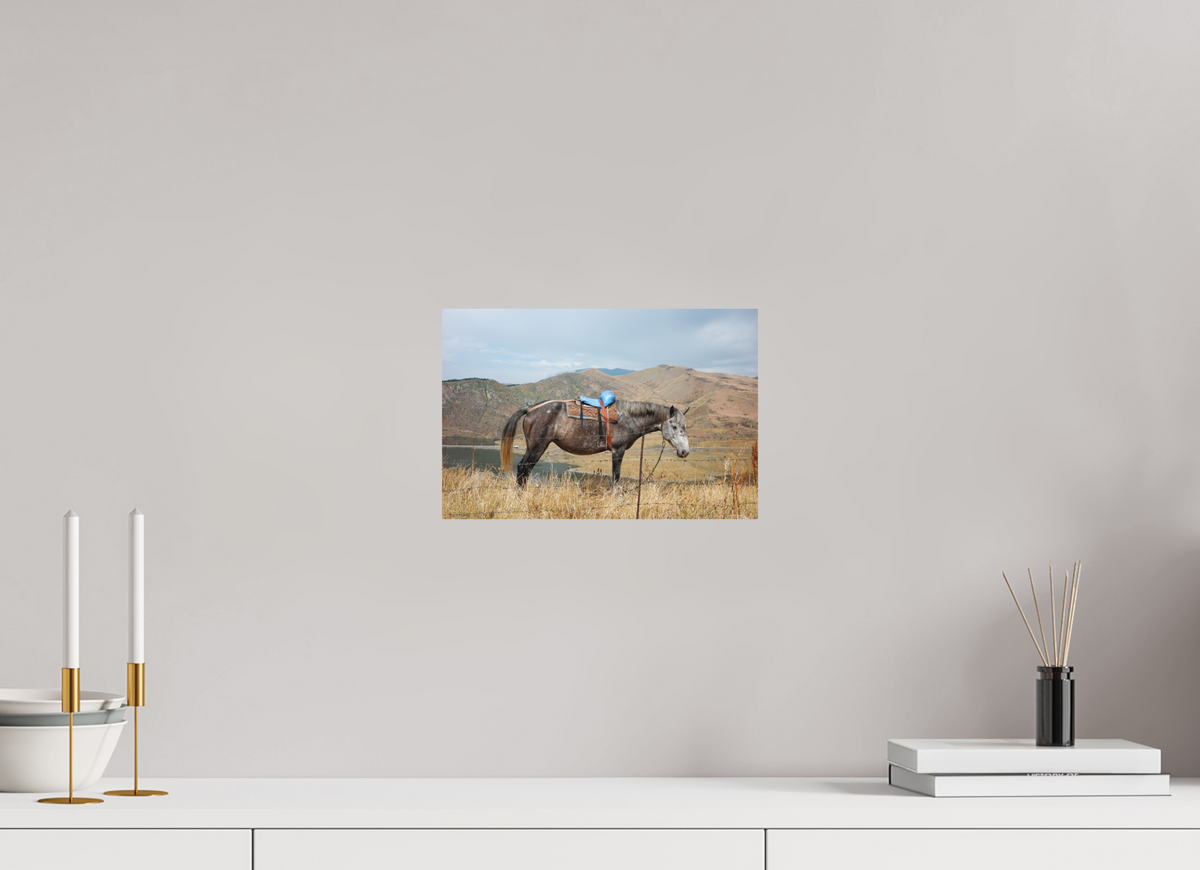 30 x 20 cm, Poster Matt .