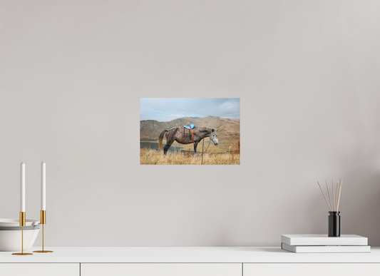 30 x 20 cm, Poster Matt .