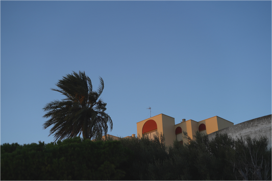 Main image By the Wind