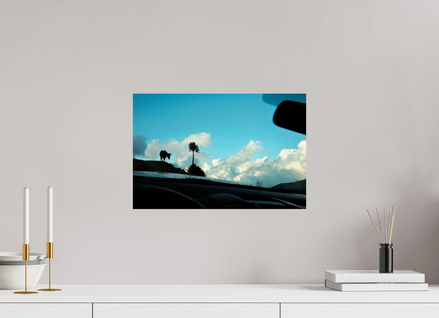 45 x 30 cm, Photo Print On Fuji Crystal DP II Cow in Georgia