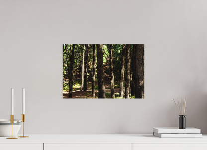 45 x 30 cm, Poster Matt .
