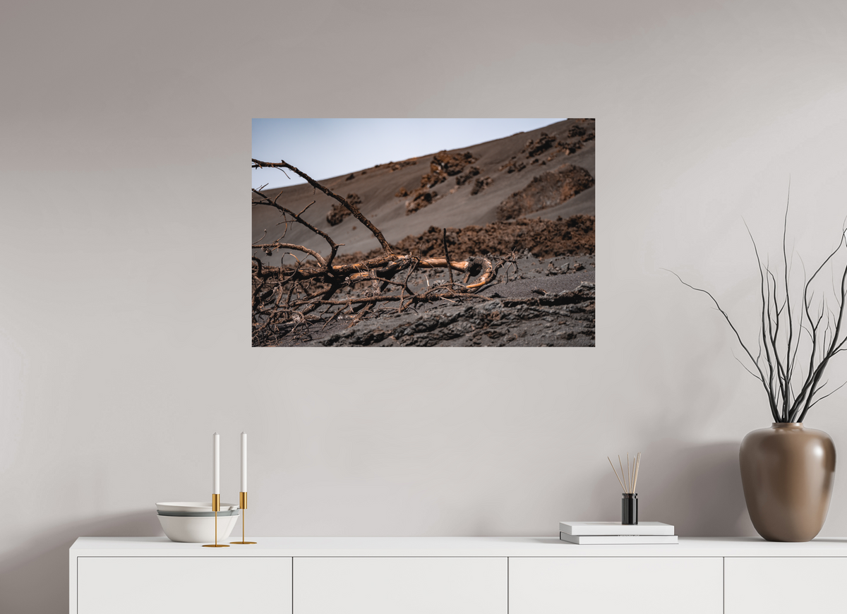 90 x 60 cm, Poster Matt .