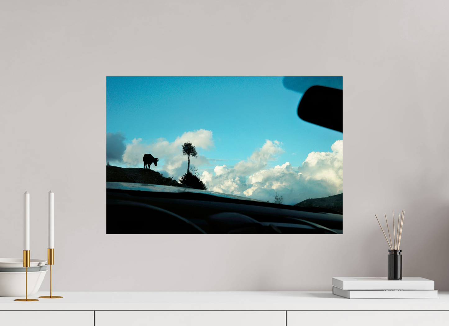 60 x 40 cm, Photo Print On Fuji Crystal DP II Cow in Georgia