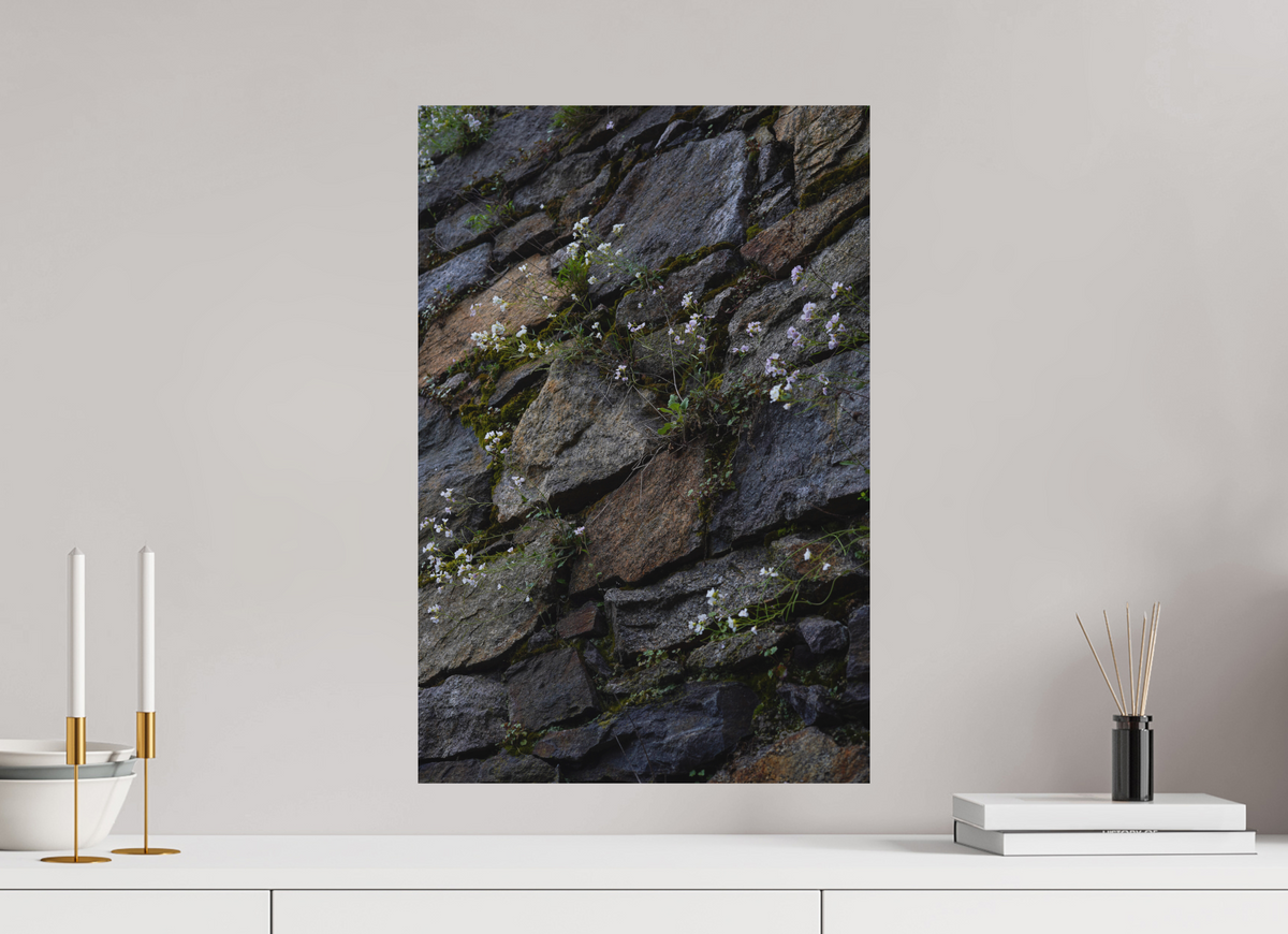 40 x 60 cm, Poster Matt .