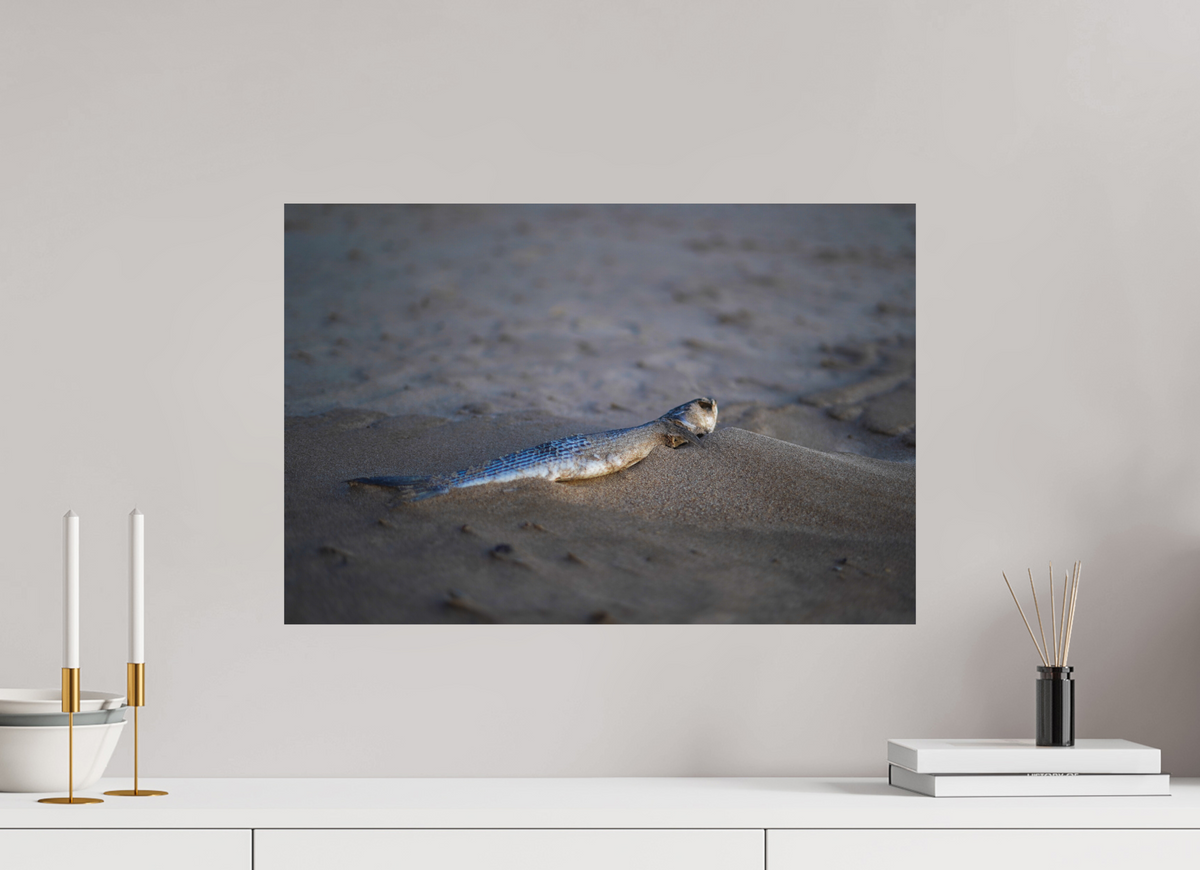 60 x 40 cm, Poster Matt .