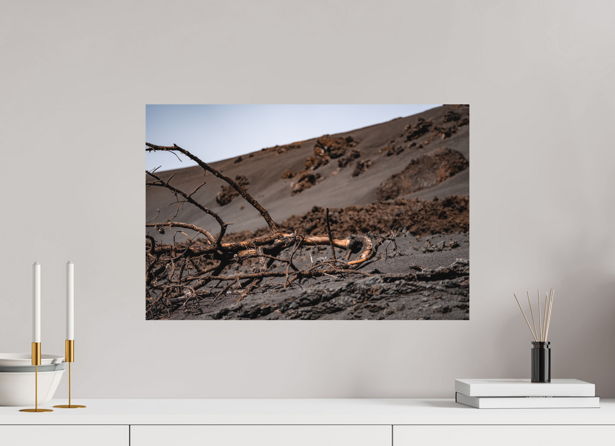 60 x 40 cm, Poster Matt .