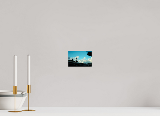 15 x 10 cm, Photo Print On Fuji Crystal DP II Cow in Georgia