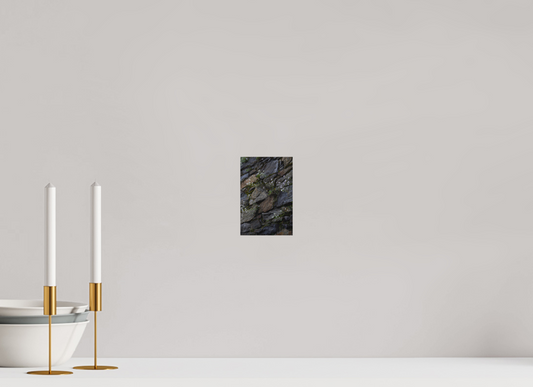 10 x 15 cm, Poster Matt .