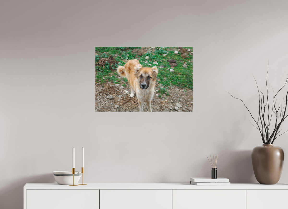 75 x 50 cm, Poster Matt .