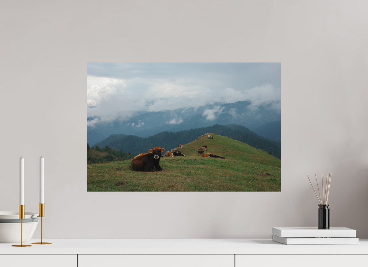 60 x 40 cm, Poster Matt .